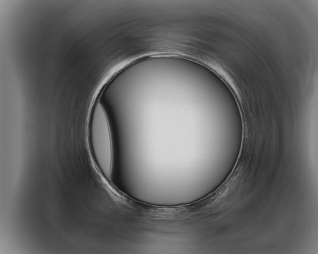 X0000088481485200705220951