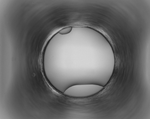 X0000088481486200705220950
