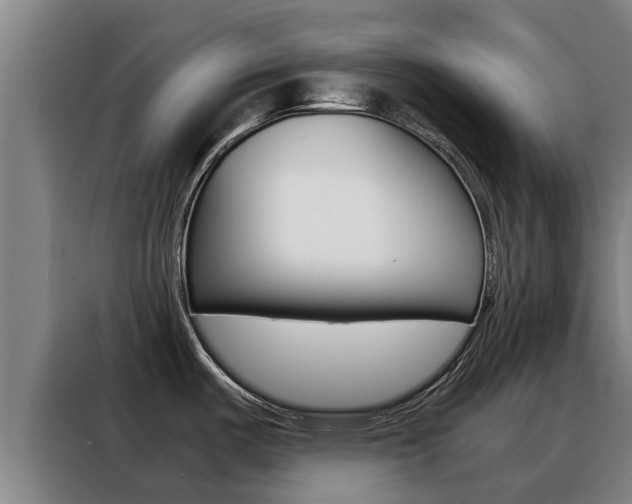 X0000088481487200705220950