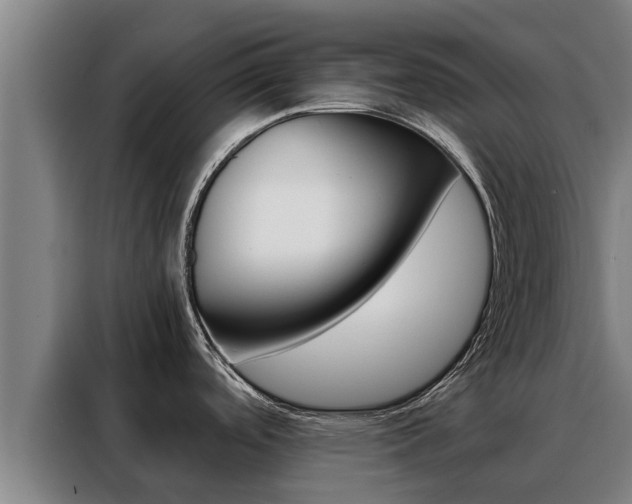 X0000088481488200705220950
