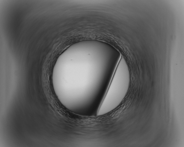 X0000088481489200705220950