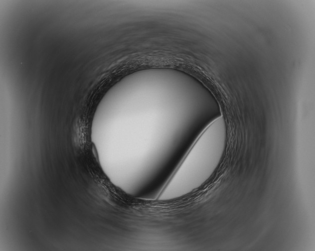 X0000088481490200705220950