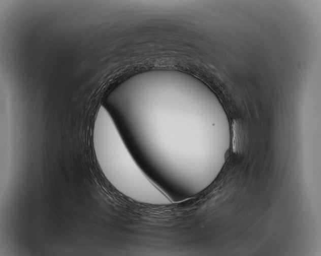 X0000088481491200705220950