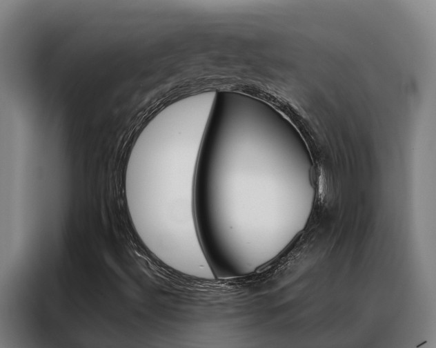 X0000088481492200705220950