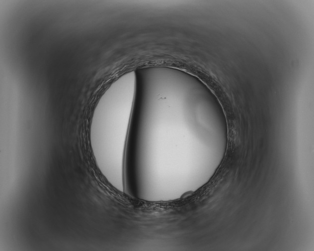X0000088481493200705220950