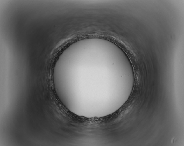 X0000088481494200705220950