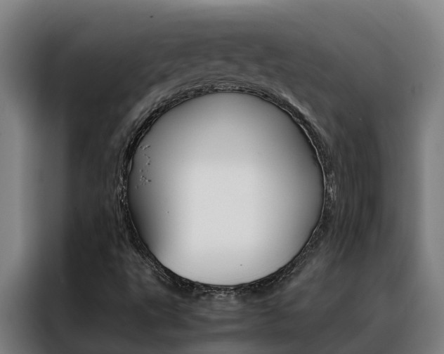 X0000088481495200705220950