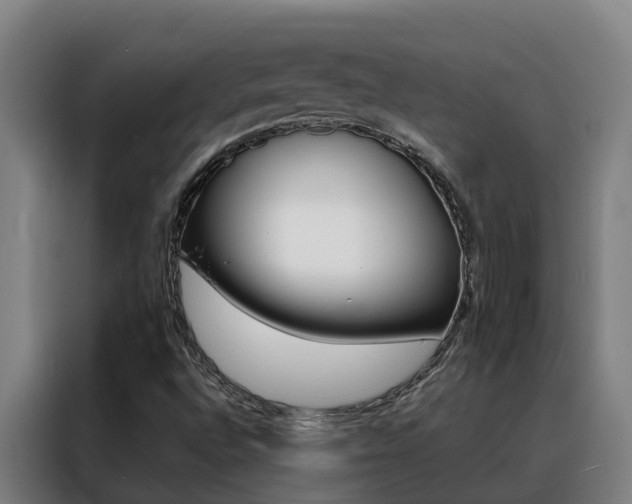 X0000088481496200705220950