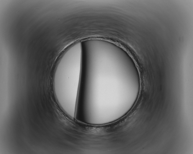 X0000088481497200705220950