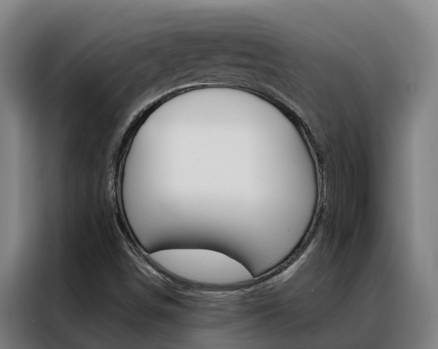 X0000088481498200705220950