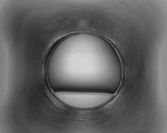 X0000088481499200705220950