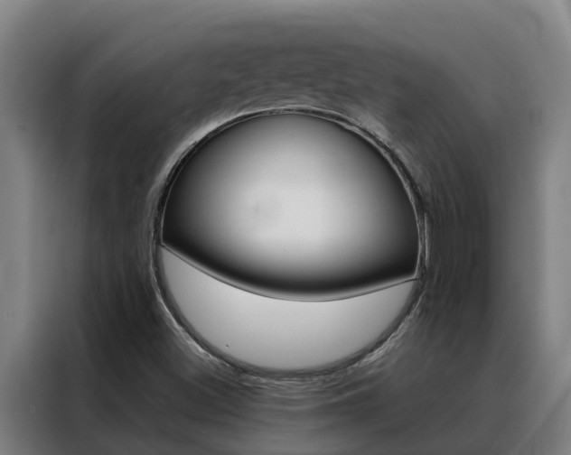 X0000088481500200705220950