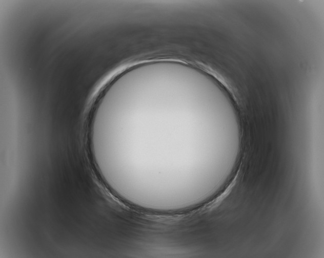 X0000088481502200705220950