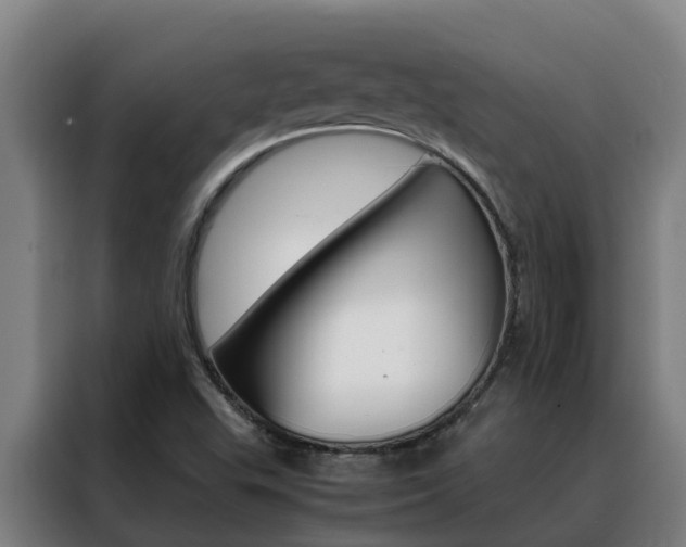 X0000088481503200705220950