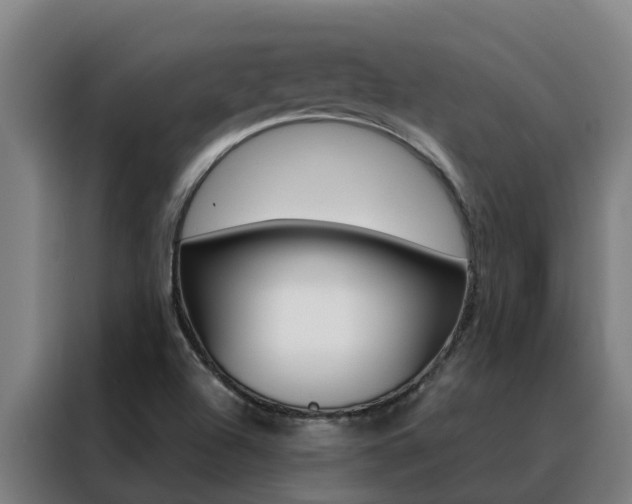 X0000088481504200705220950