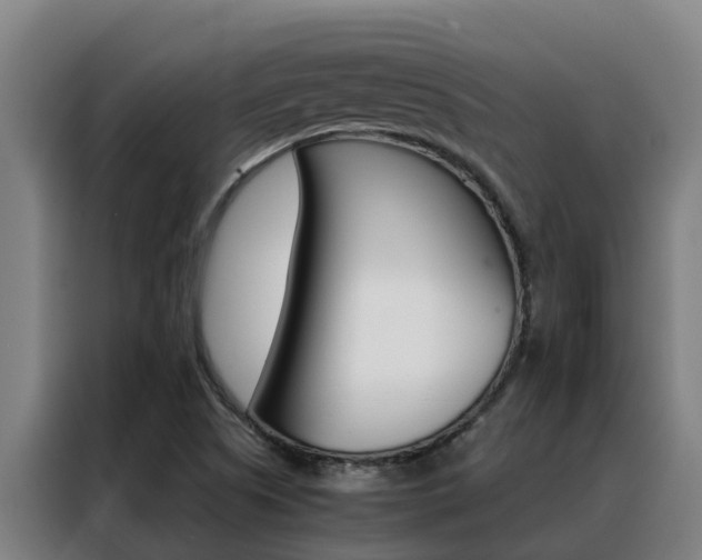 X0000088481505200705220950