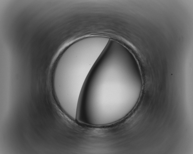 X0000088481506200705220950