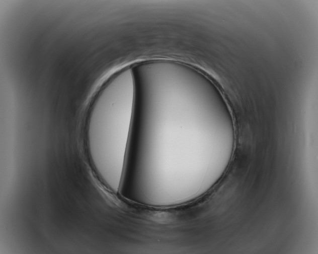 X0000088481507200705220950