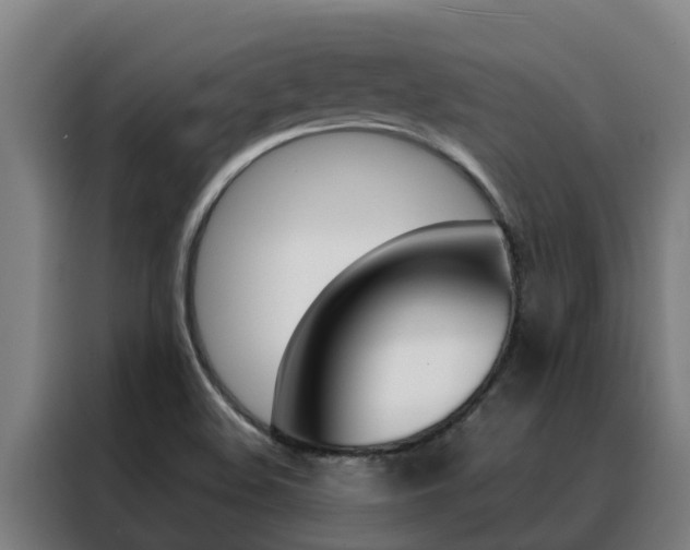X0000088481508200705220950