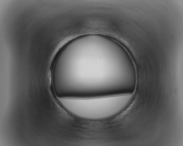 X0000088481509200705220950