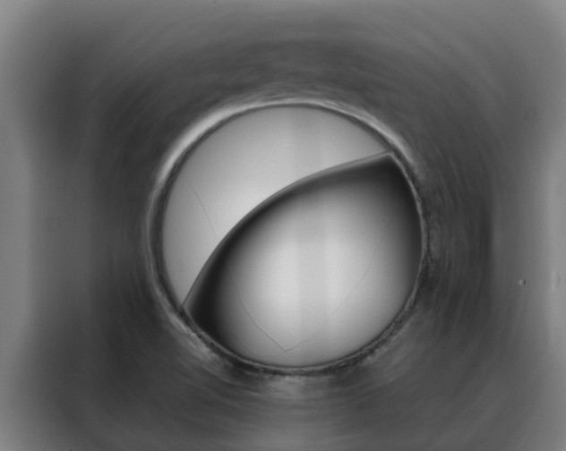 X0000088481510200705220950