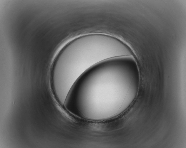 X0000088481511200705220950