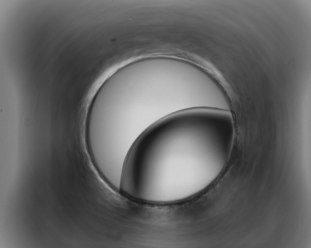 X0000088481512200705220950