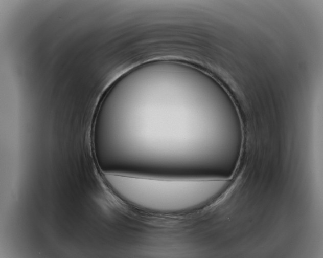 X0000088481513200705220950