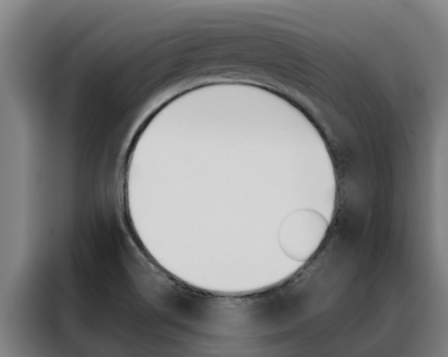 X0000088481514200705220950