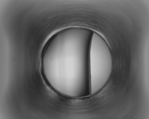X0000088481515200705220950