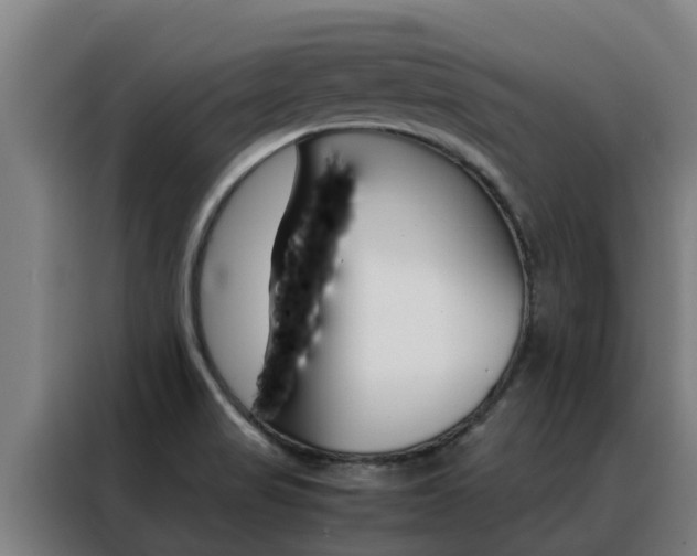 X0000088481517200705220950
