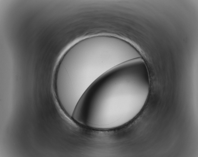 X0000088481518200705220950
