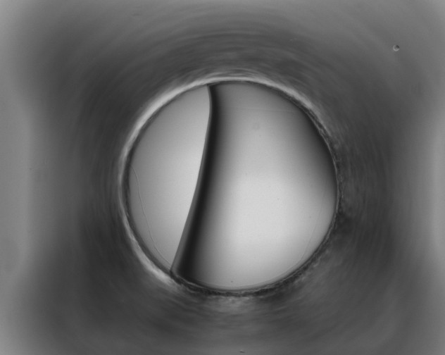 X0000088481519200705220950