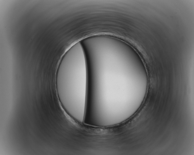 X0000088481521200705220950