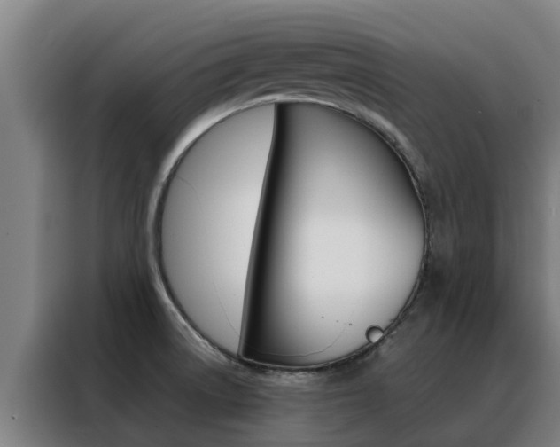 X0000088481522200705220950