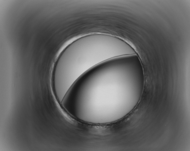 X0000088481523200705220950