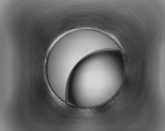 X0000088481524200705220950