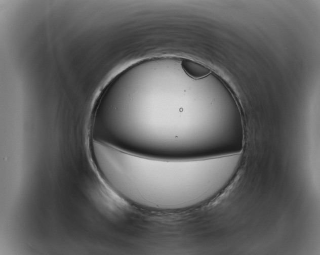 X0000088481525200705220950