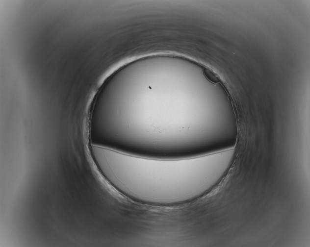 X0000088481526200705220950