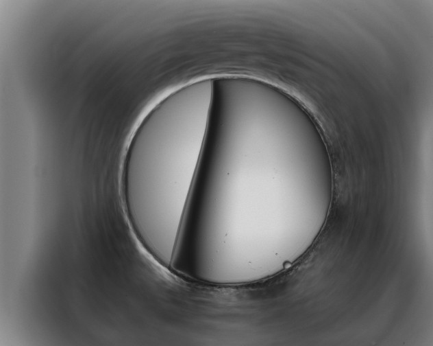 X0000088481527200705220950