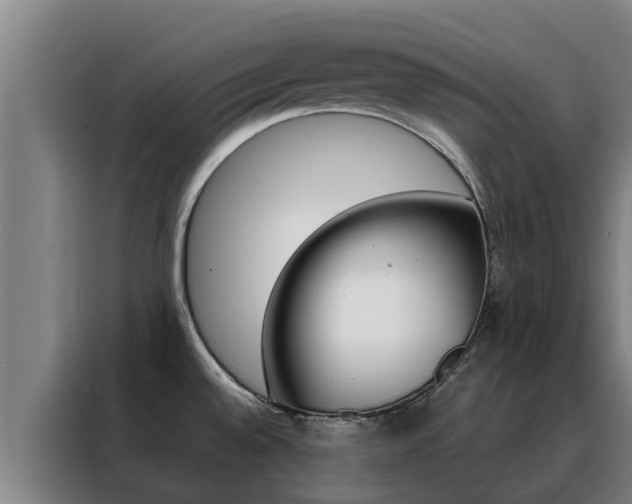 X0000088481528200705220950