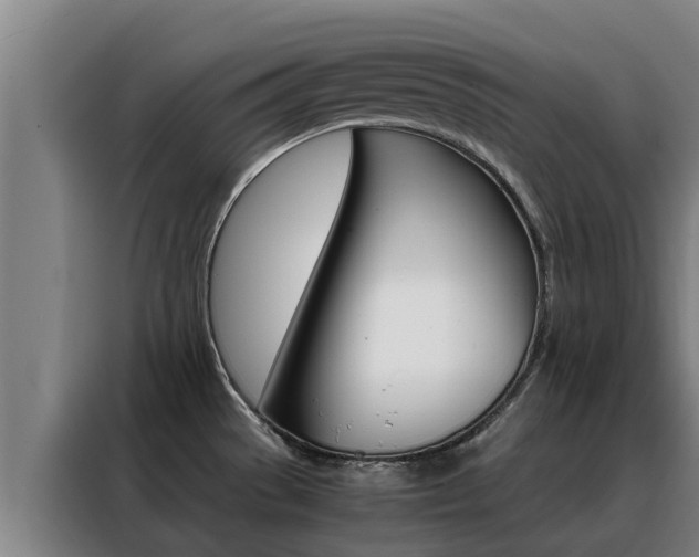 X0000088481529200705220950