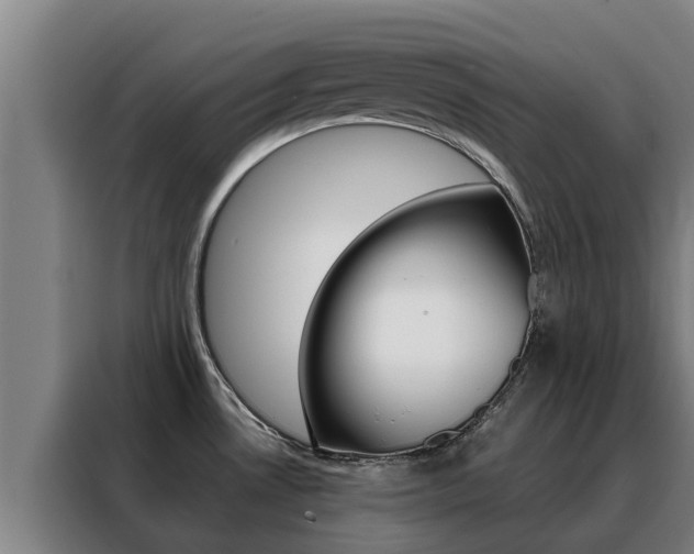 X0000088481530200705220950