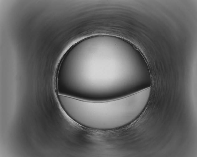 X0000088481531200705220950