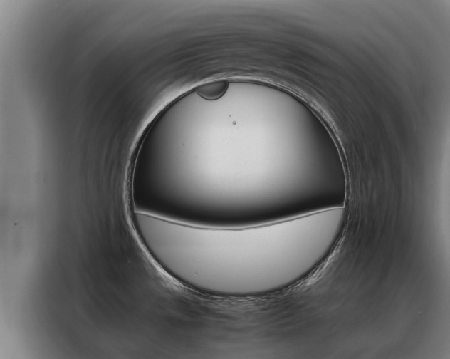 X0000088481533200705220950