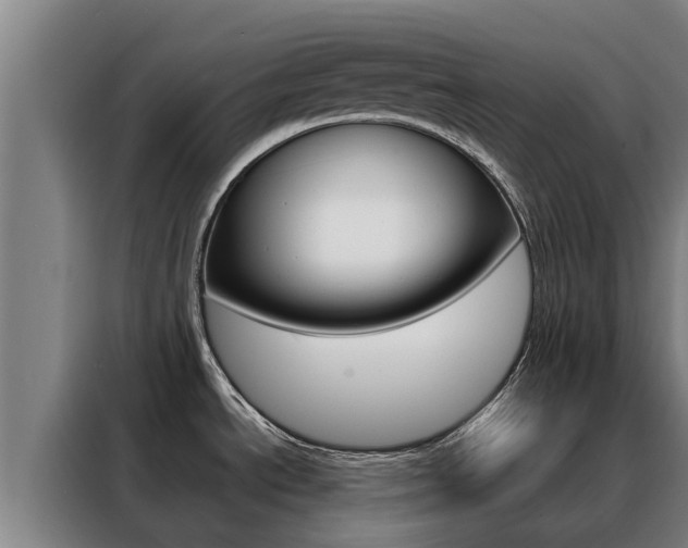 X0000088481534200705220950