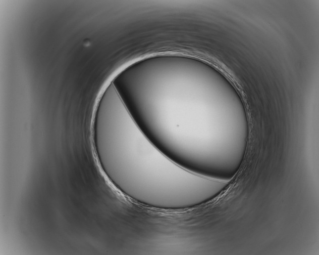 X0000088481536200705220950