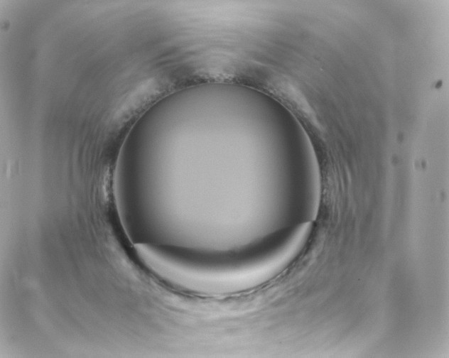 X0000088480023200705221428