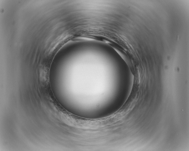 X0000088480044200705221428