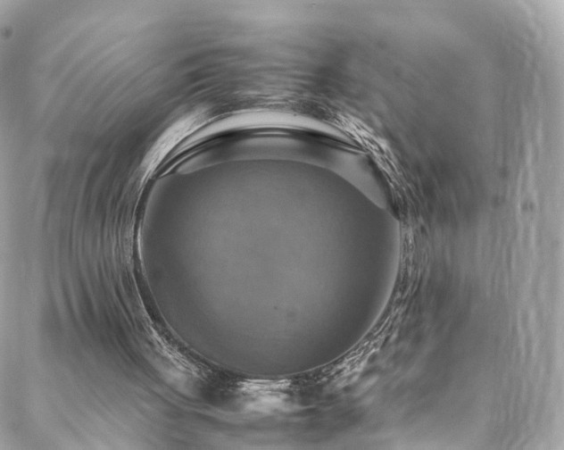 X0000088480051200705221427